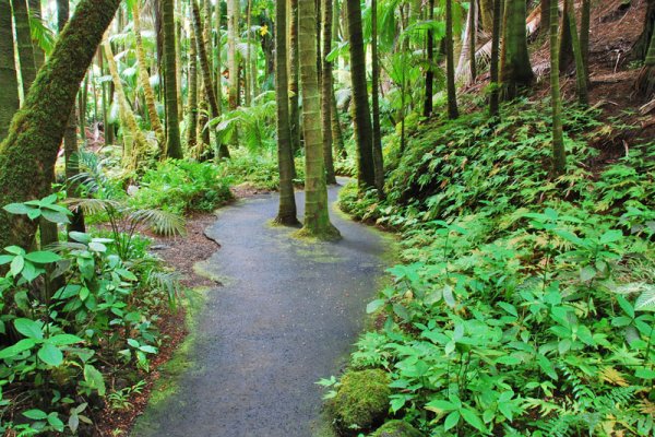 Big Island Gardens Guide Tile Image