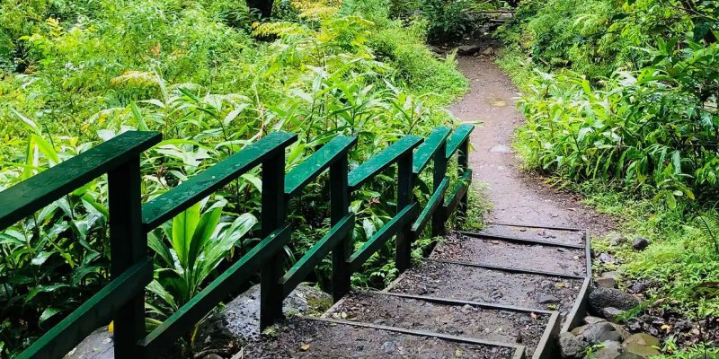 Central Maui Hiking Trails