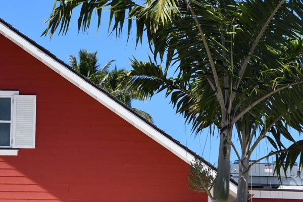 Coconut Marketplace Tile Image