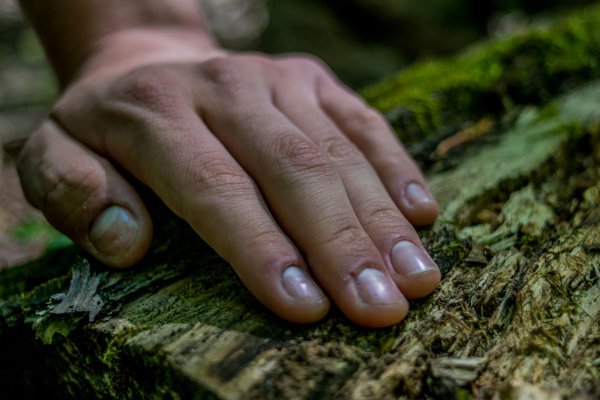 Connect in Hawaii Tile Image