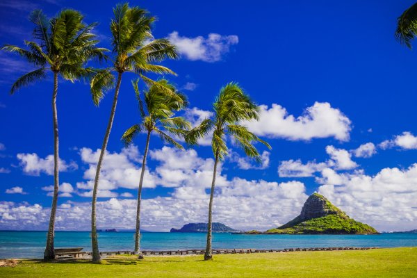 Oahu Tours Tile Image