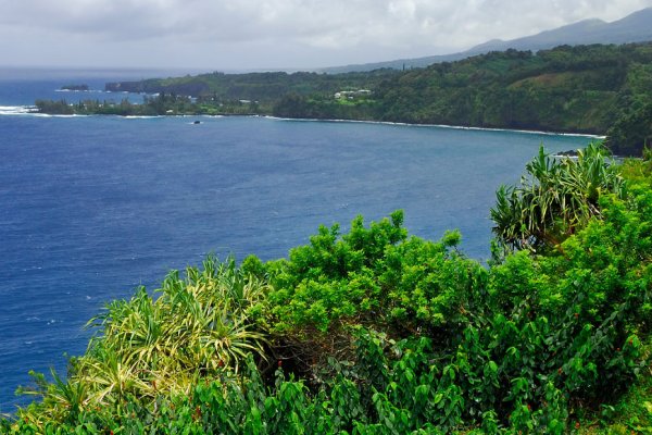 Road to Hana Driving Tips Tile Image