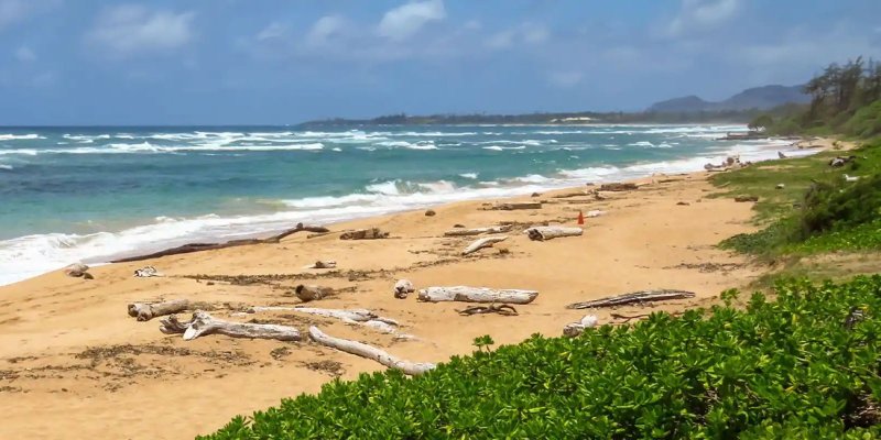 East Kauai Beaches