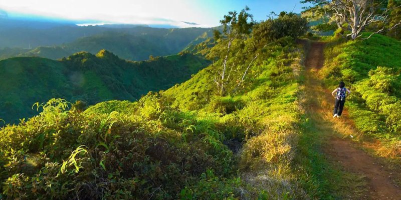 East Kauai Hiking Trails