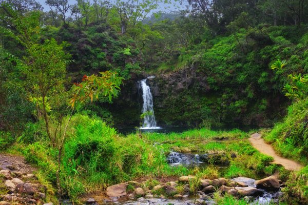 East Maui Waterfall & Rainforest Hike Tile Image