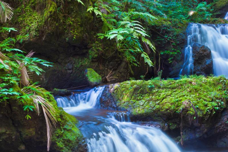 Sustainable Travel in Hawaii