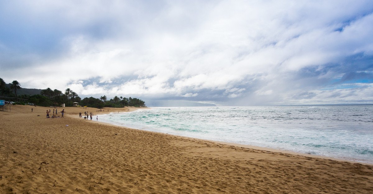 Ehukai Beach Park is a must see.