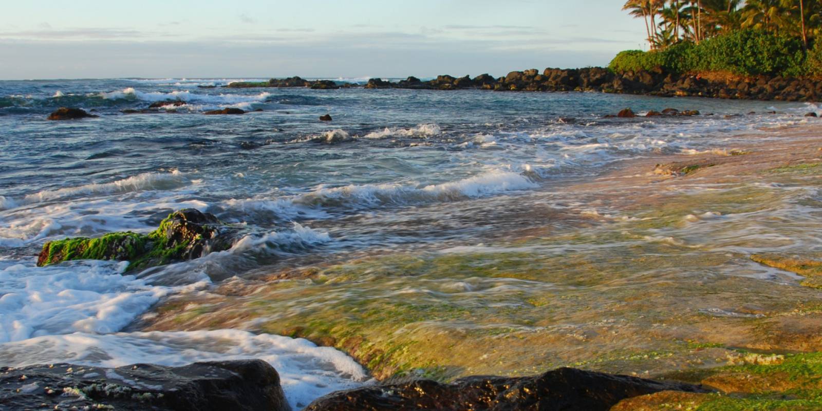 Ehukai Beach Park Information, Photos & More | Oahu Hawaii