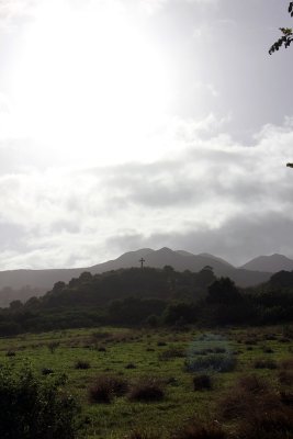 Fagan's Cross Maui