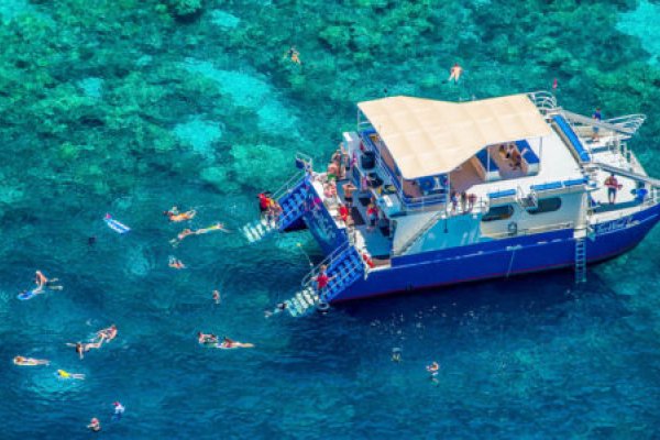 Morning Kealakekua Snorkel & BBQ Cruise Tile Image