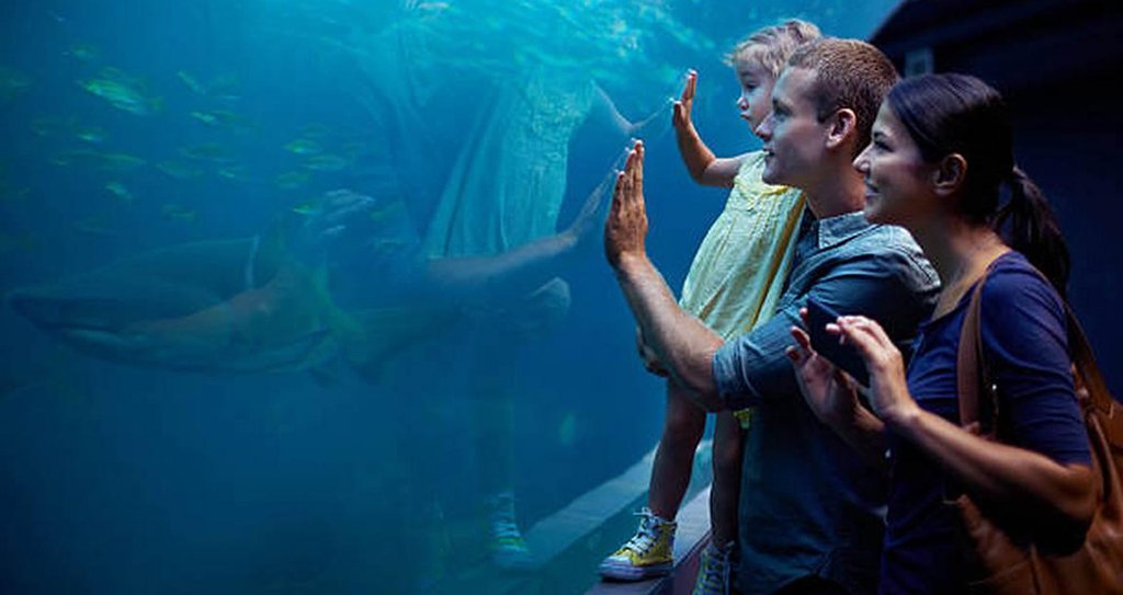 The Maui Ocean Center is full of surprises