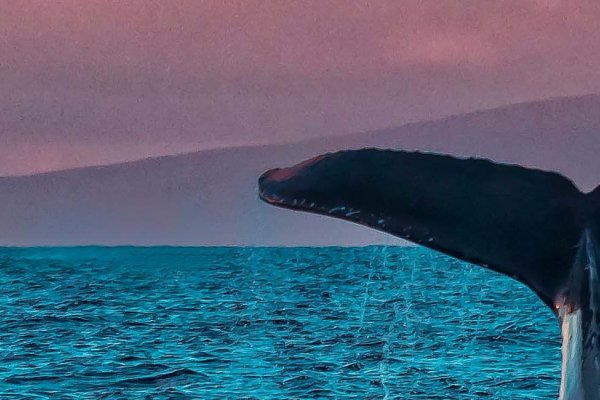 Maui Events in February Tile Image