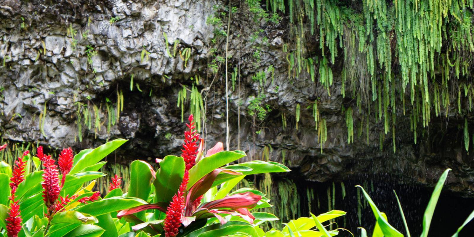 Fern Grotto on the Wailua River Information
