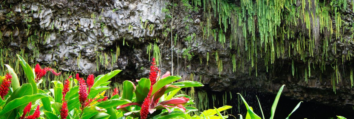 Fern Grotto