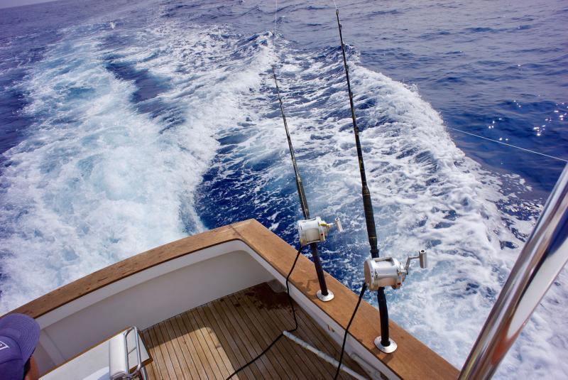 Tips for Booking Your Hawaii Fishing Trip