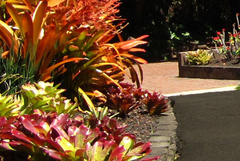 Foster Botanical Gardens