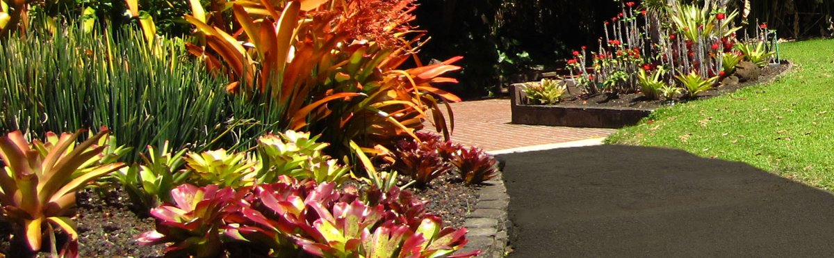 Foster Botanical Gardens