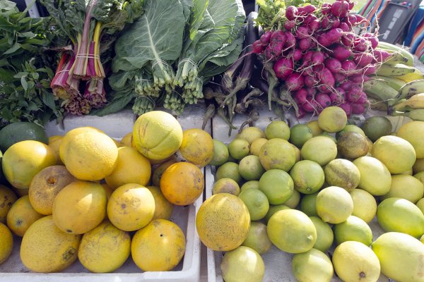 Top Farmers' Markets on Kauai Tile Image