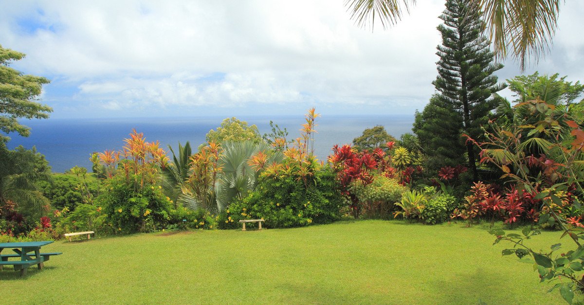 Relax and enjoy the beautiful view from the Garden of Eden Botanical Arboretum