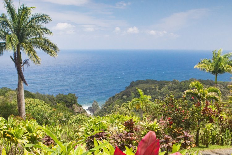 Garden of Eden Botanical Arboretum Image