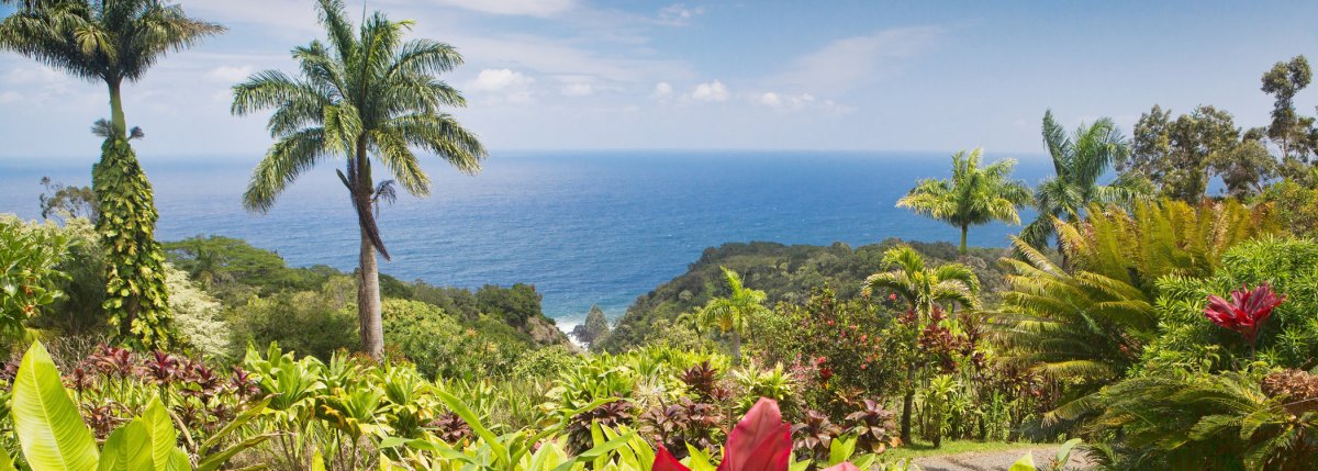 Garden of Eden Botanical Arboretum