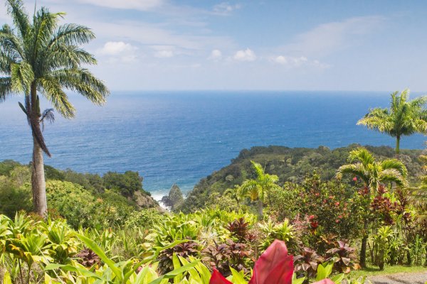 Garden of Eden Botanical Arboretum Tile Image