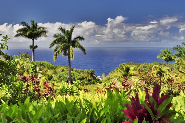 Hawaii Top Gardens Tile Image