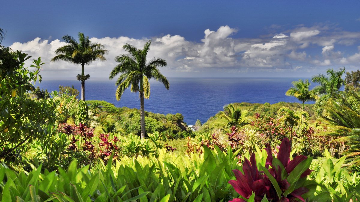 Best Gardens To Visit & See on Each of the Hawaiian Islands