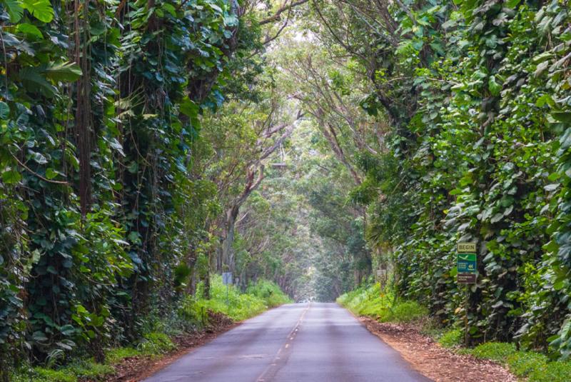 Getting Around Kauai