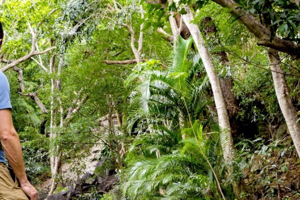 Kauai Guided Tours Tile Image