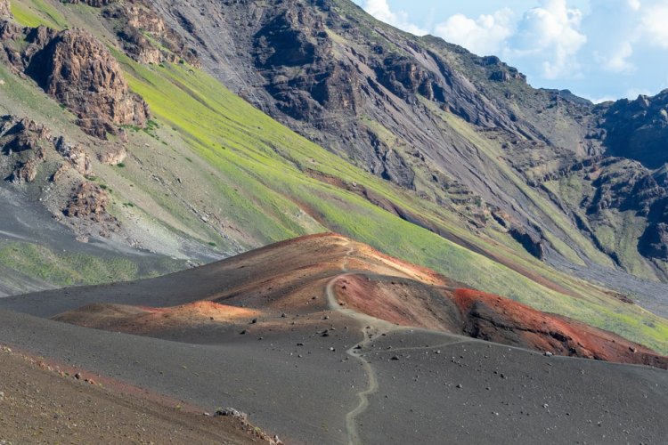 Halemauu Trail Image