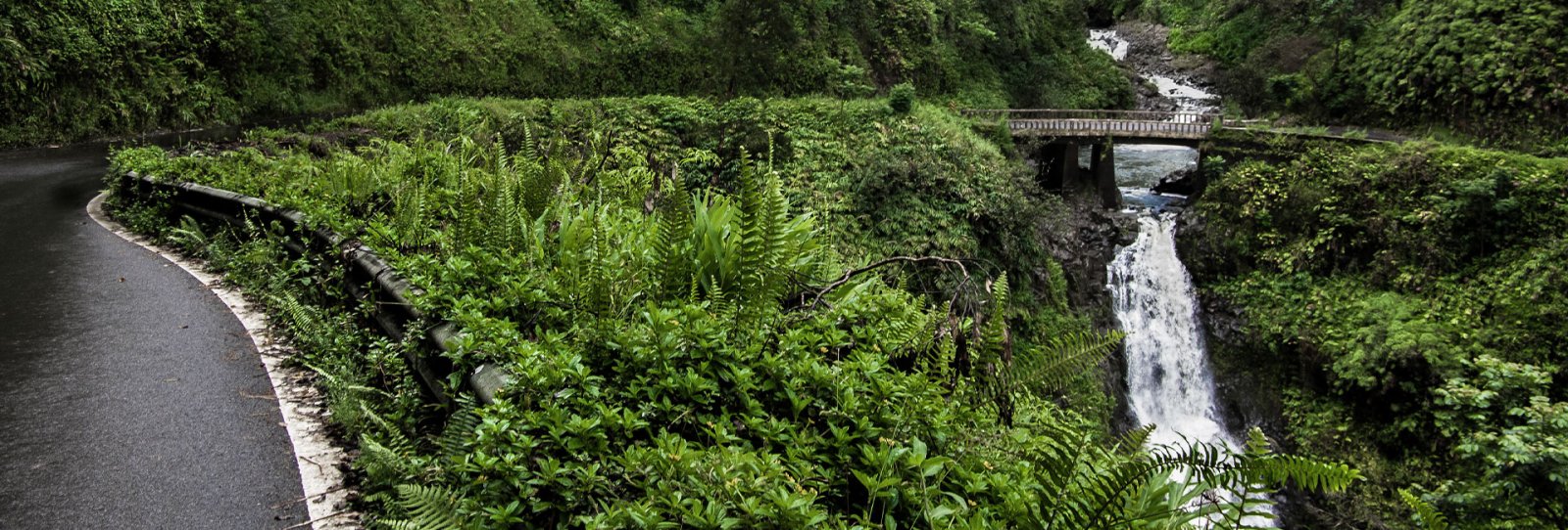 Hana Hwy Waterfalls