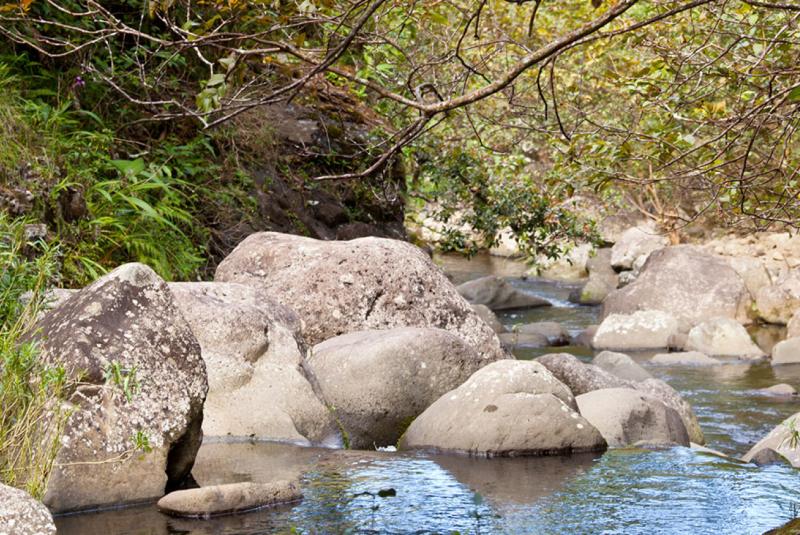 The Hanakapiai Falls Trail