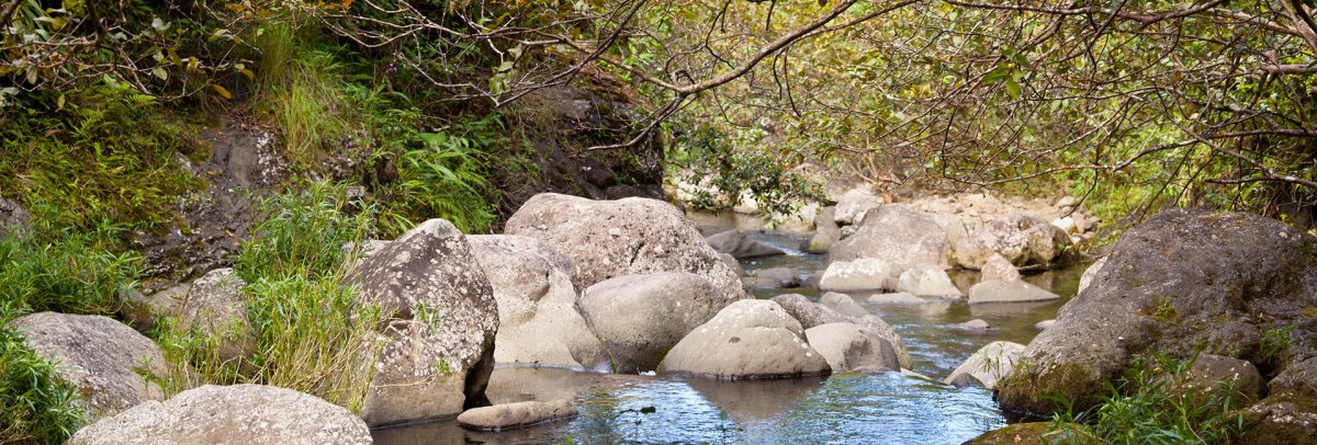 Hanakapiai Falls Trail