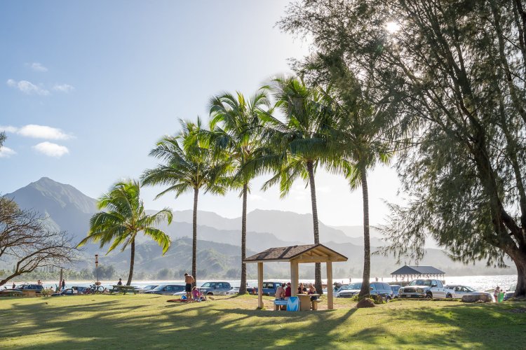 Hanalei Beach Park Image