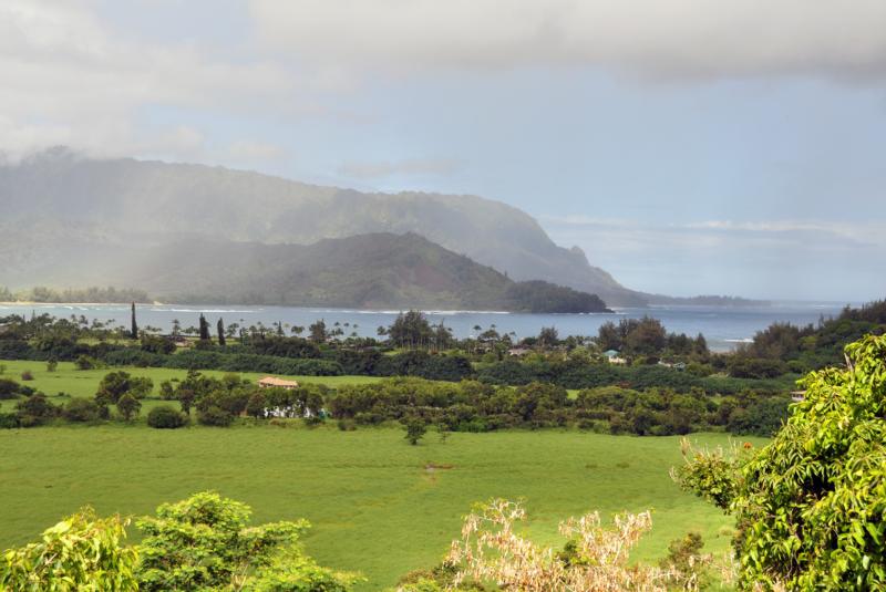 Hanalei Town