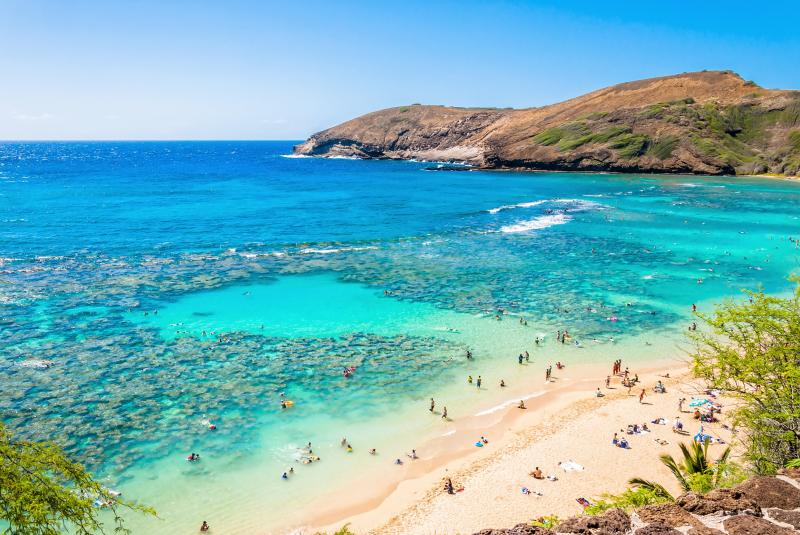 Reef Safe Sunscreen: Understanding Hawaii's New Sunscreen Laws