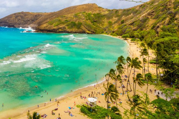 Hanauma Bay Nature Preserve Tile Image