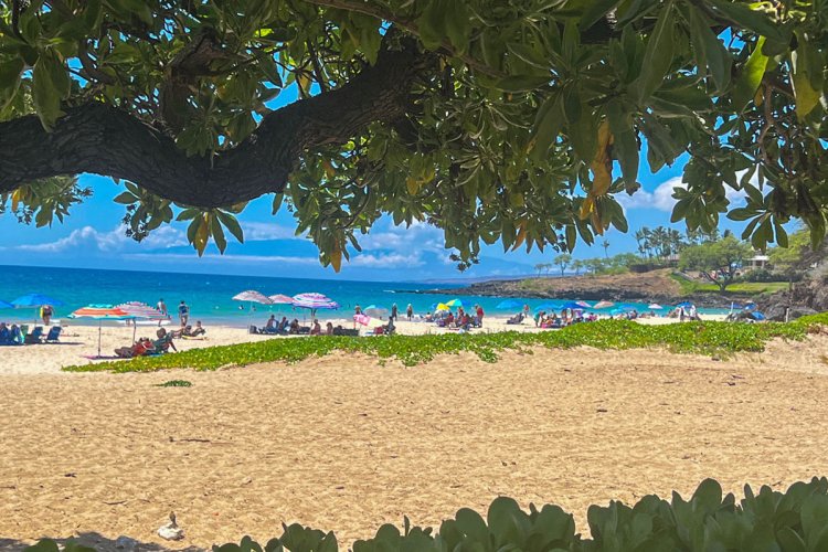 Hapuna Beach State Park Image