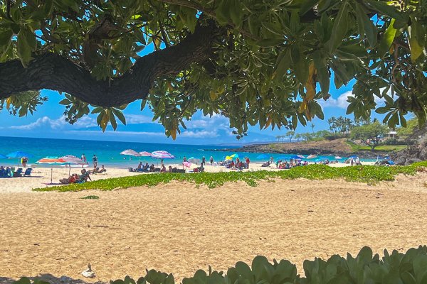 Hapuna Beach State Park Tile Image