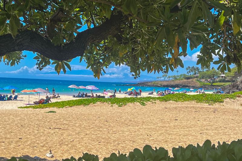 Hapuna Beach State Park