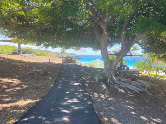 Hapuna Beach Park grilling and picnic area
