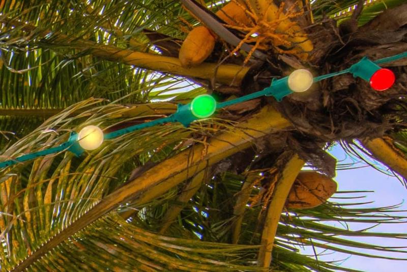 Your Guide to a Hawaii Christmas Vacation