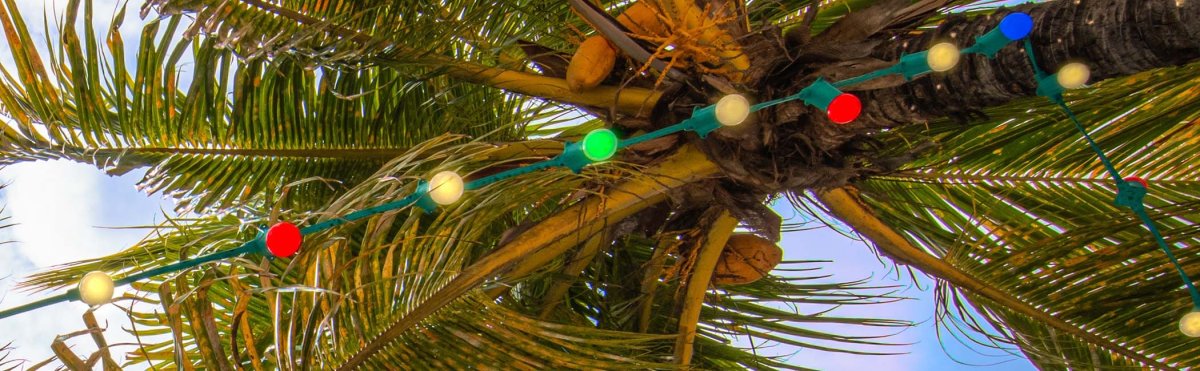 Hawaii Christmas vacation scene with palm trees and holiday decorations Tile Image