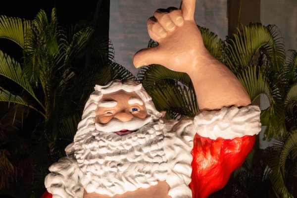 Visiting Hawaii in December Tile Image