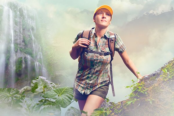 Hawaii Ecotourism Association Tile Image