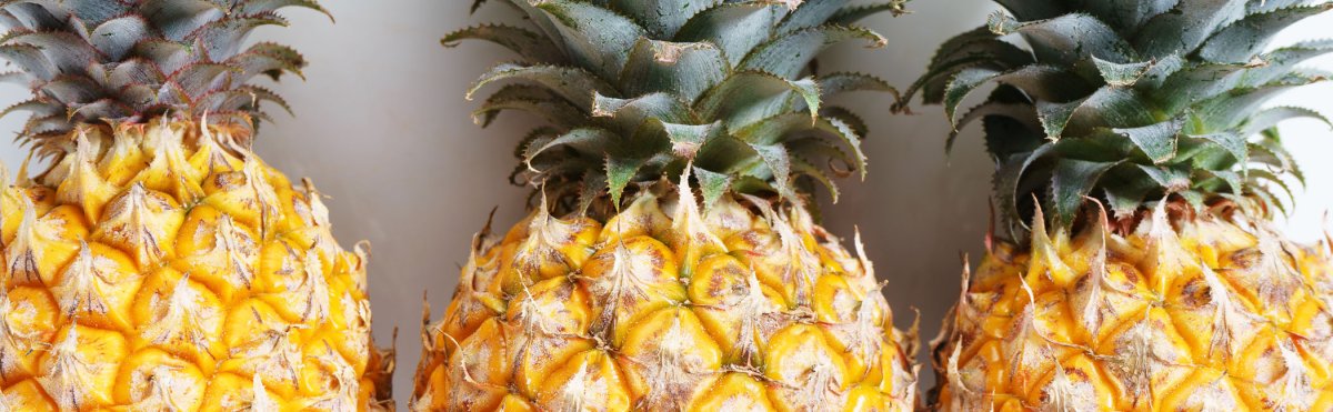 Oahu Events in February 2026 Tile Image