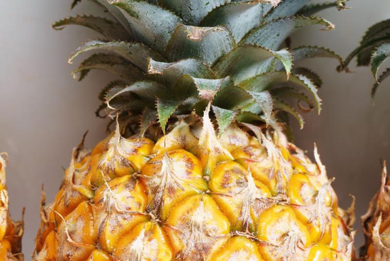 Oahu Events in February