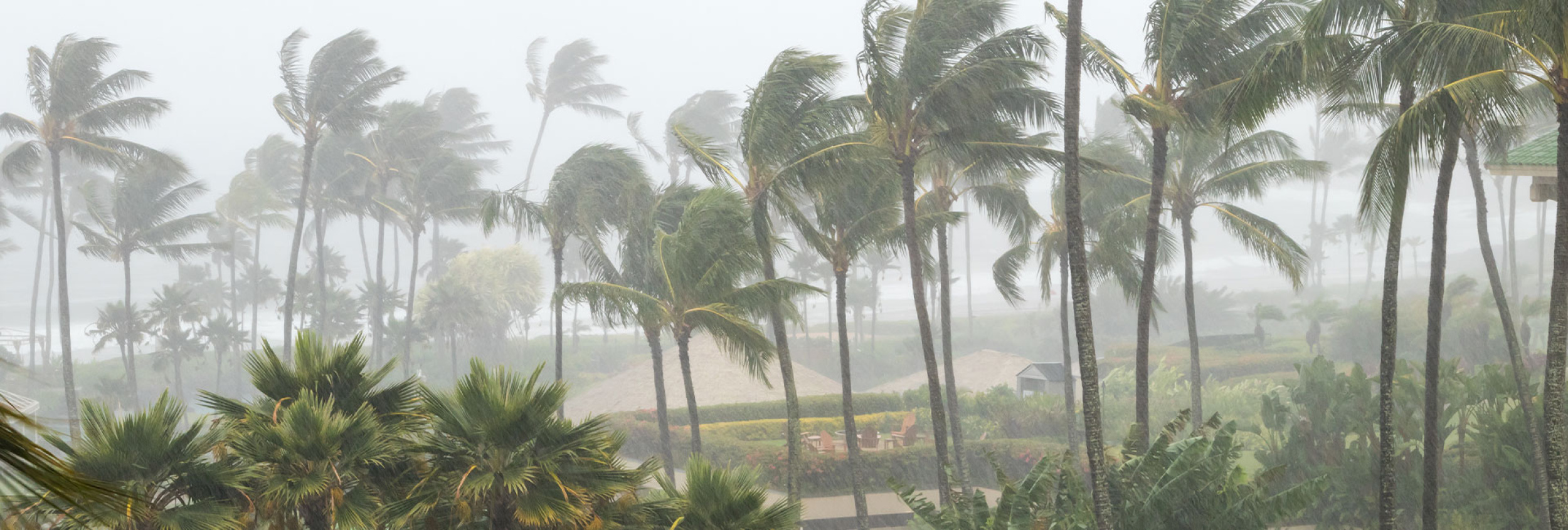 Hawaii severe weather and storm alerts forecast banner