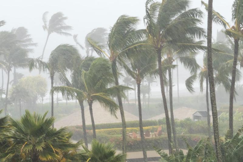 Hawaii Hurricane & Storm Alerts